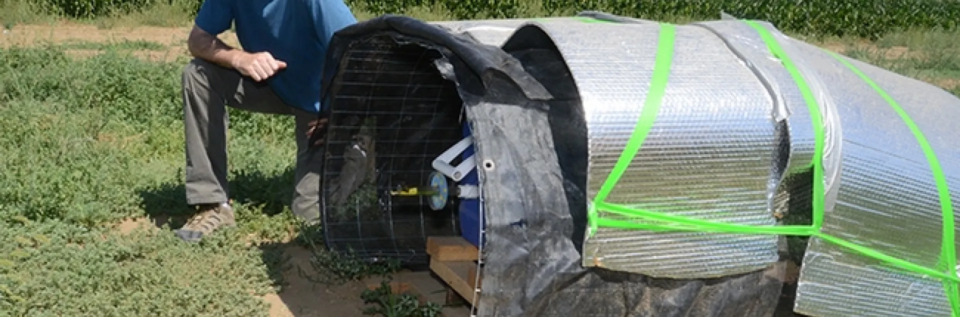 Neal Williams, newly elected Fellow of the California Academy of Sciences, is "widely known and respected for his excellence in research, extension, outreach, teaching and leadership," wrote nominator James R. Carey. Here Williams works on a bumble bee project. (Photo by Kathy Keatley Garvey)