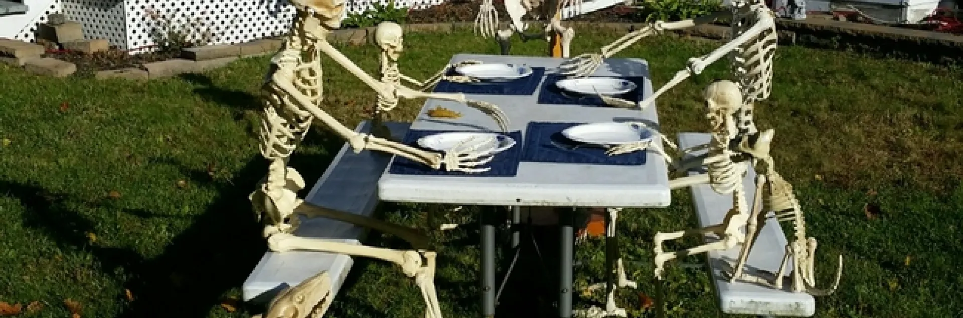 Skeleton picnic (Photo courtesy of Charles Powers)