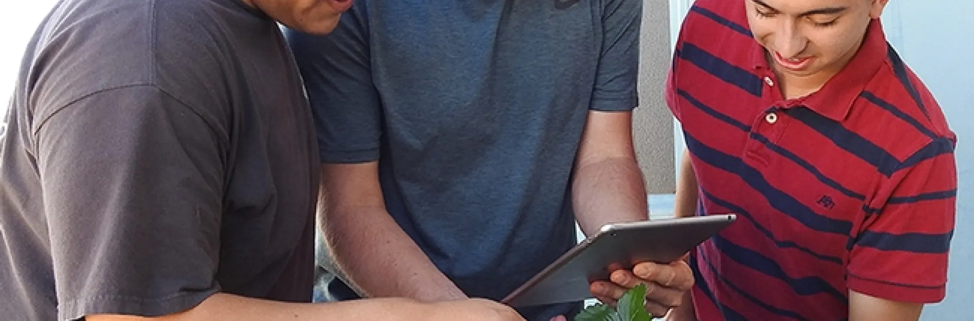 Checking out data are (from left) The Smart Spray team: computer scientist Gabriel Del Villar; agricultural entomologist Christian Nansen and computer scientist/student Alexander Recalde. (Photo by Kathy Keatley Garvey)