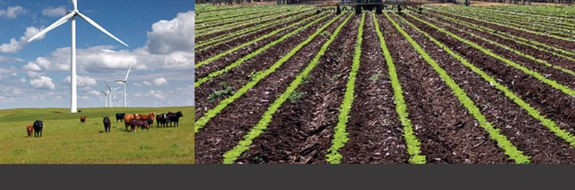 2019 Value of Working Landscapes cover