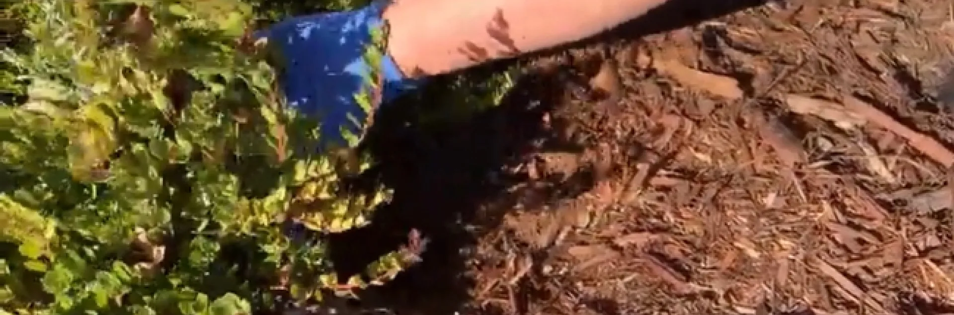 Consumers seek practical information from how-to videos.