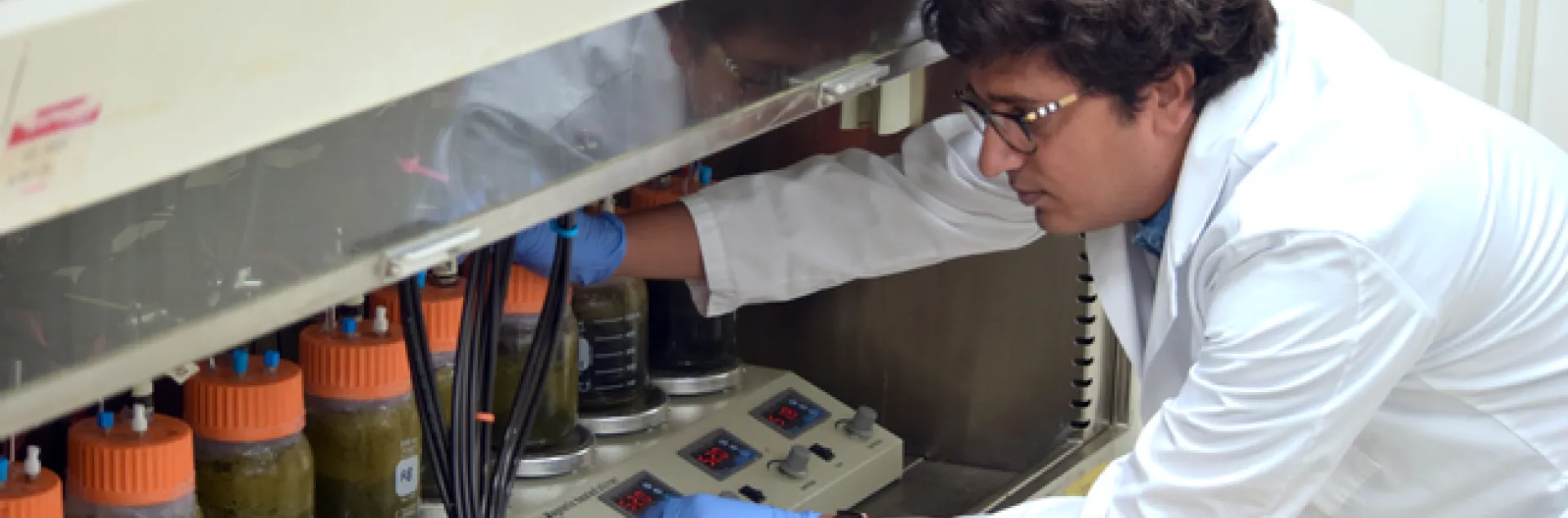 El doctor Pramod Pandey, profesor y especialista de extensión cooperativa de la Facultad Veterinaria de UC Davis, conduce experimentos sobre cómo capturar el biogás.