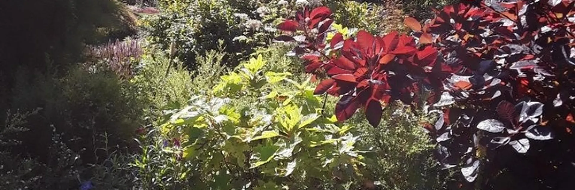 pictures by Betty Victor