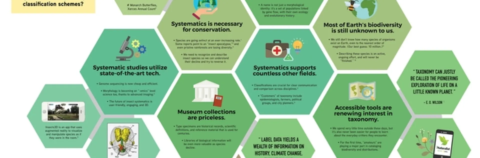 Jill Oberski's infographic in the SysEB section: “Discovery and Diversity: The Importance of Systematic Entomology in Today’s World.”