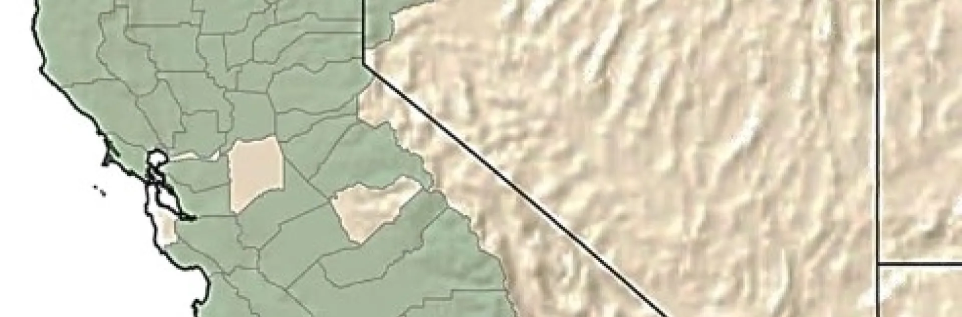 medusahead distribution