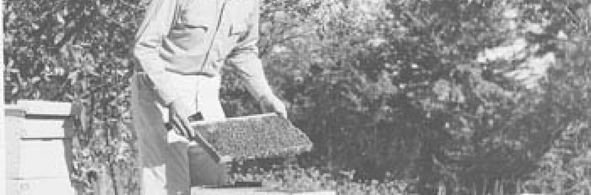 Harry H. Laidlaw Jr., the father of honey bee genetics. The facility, Harry H. Laidlaw Jr. Honey Bee Research Facility, is named for him.