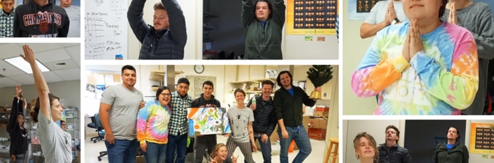 Members of the Houston Wilson lab at the UC Kearney Agricultural Research and Extension Center practice yoga.