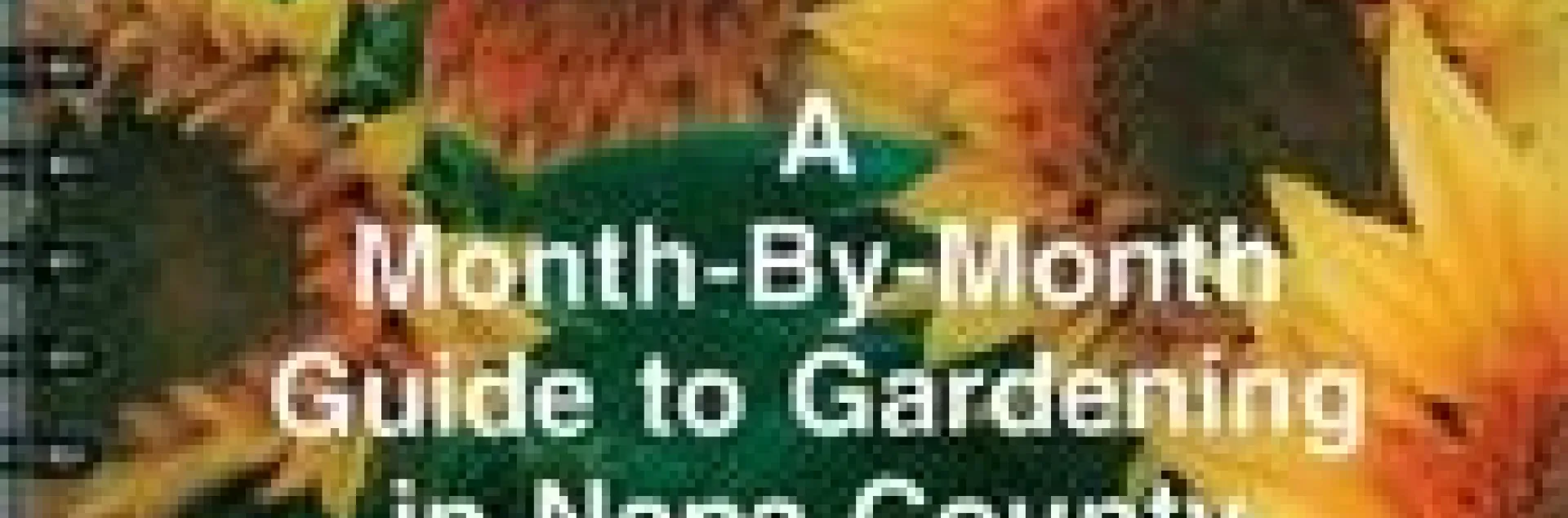 Month-By-Month Gardening Guide for Napa County