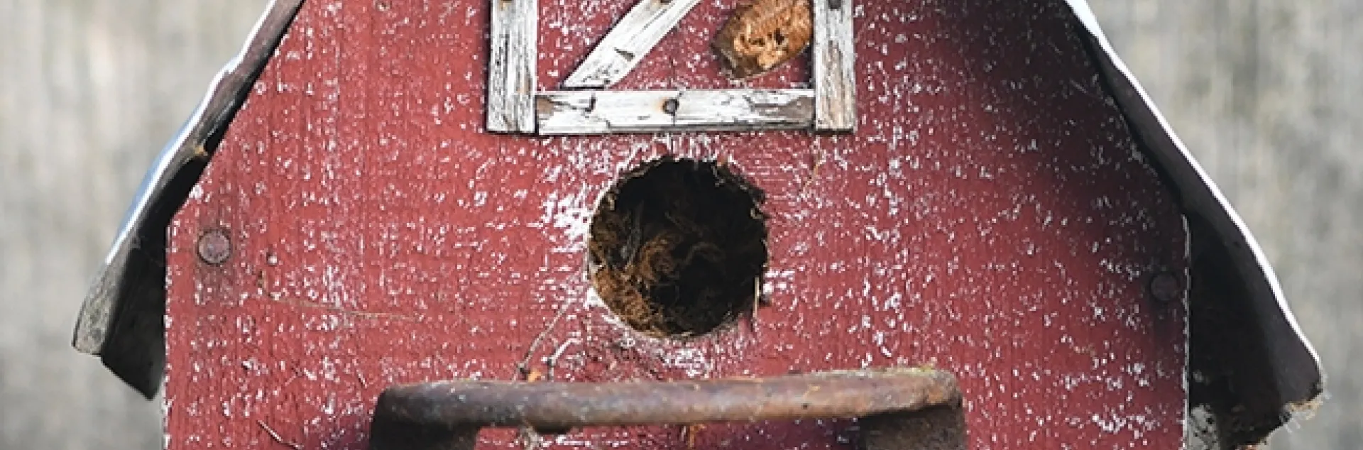 Find the ootheca! It's on this barn-themed birdhouse. (Photo by Kathy Keatley Garvey)