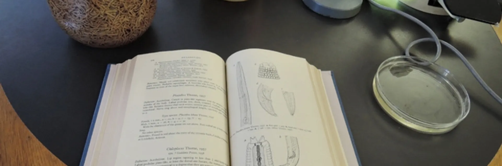 Like to learn about nematodes? You can see the nematode collection, read about them, and ask questions of the nematologists.(Photo by Kathy Keatley Garvey)