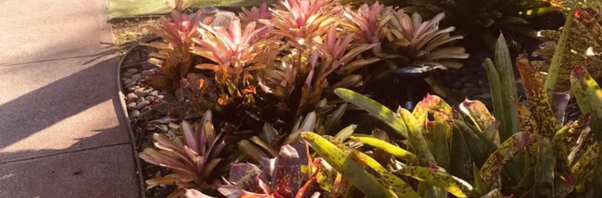 photos by Karen Metz