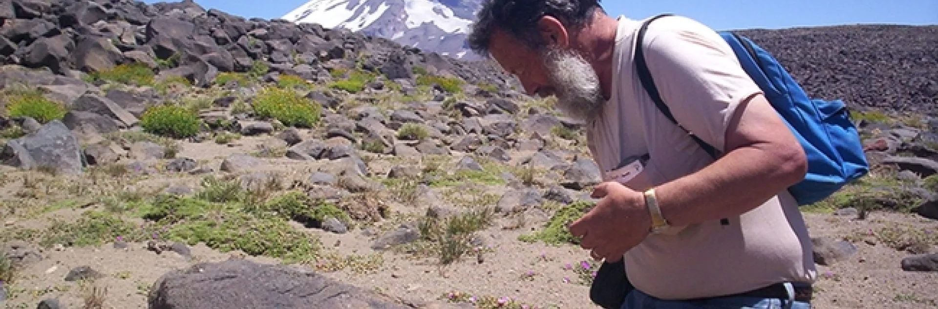 Professor Art Shapiro in the Argentine Andes during a Laguna del Diamante Field Trip. He will speak on "Are Our Butterflies in Trouble?" at the UC Davis Biodiversity Museum Day public forum.