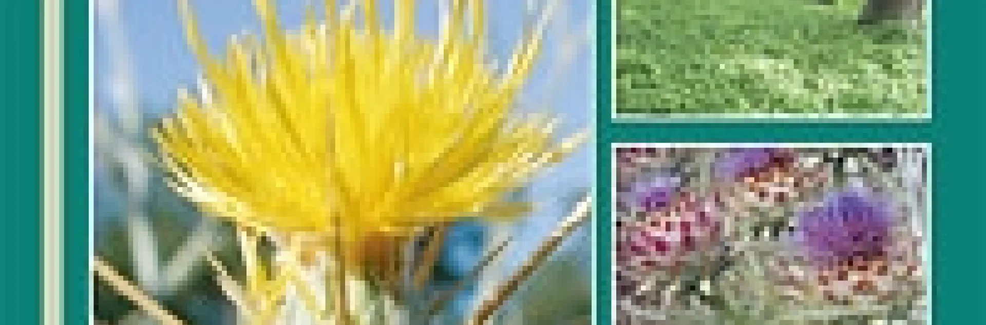 CA Invasive Plant Council (California Invasive Plant Council) https://www.cal-ipc.org/