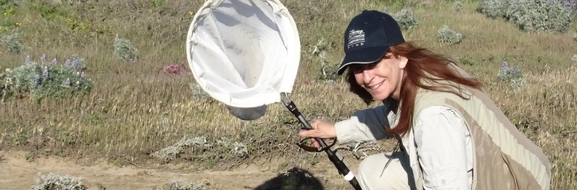 Leslie Saul-Gershenz of UC Davis will speak on "Is Insect Biodiversity, Biomass and Abundance Declining?” at the Hillside Club's Fireside Lecture Series, Berkeley, on March 2.