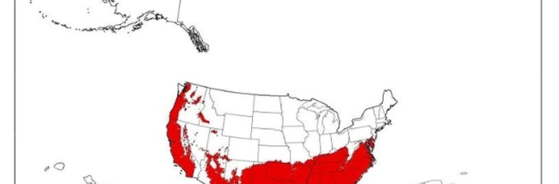 araujia distribution map