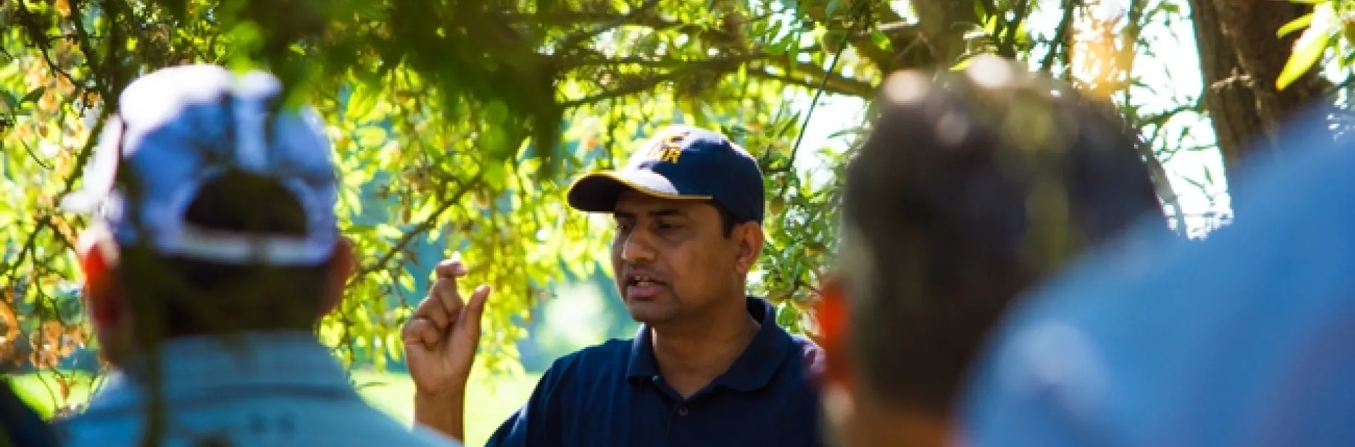 The breadth and depth of agricultural knowledge created by UC Agriculture and Natural Resources is unparalleled, wrote Taylor Roschen. (Photo: Michael Rosenblum)