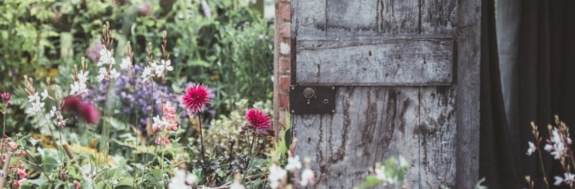 Let the garden soothe . . . (Annie Spratt)