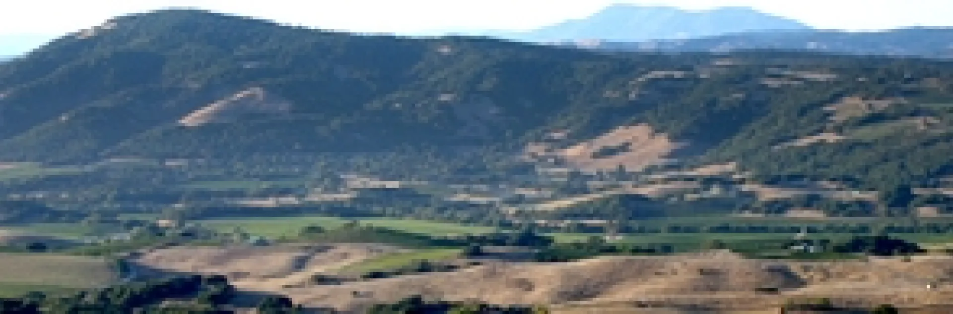 SLO image