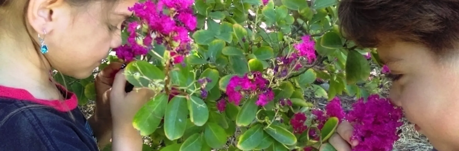 Children smelling myrtle flowers in the garden.
