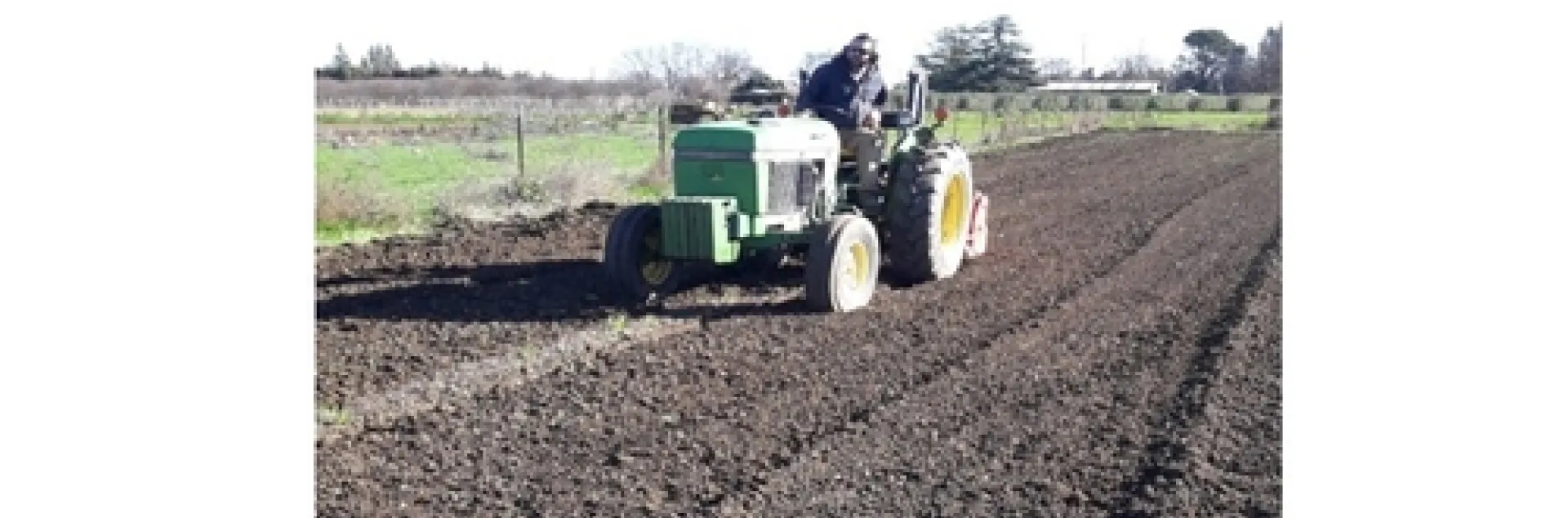 Tractor in the experimental plot infested with Fusarium oxysporum f. sp. lactucae.