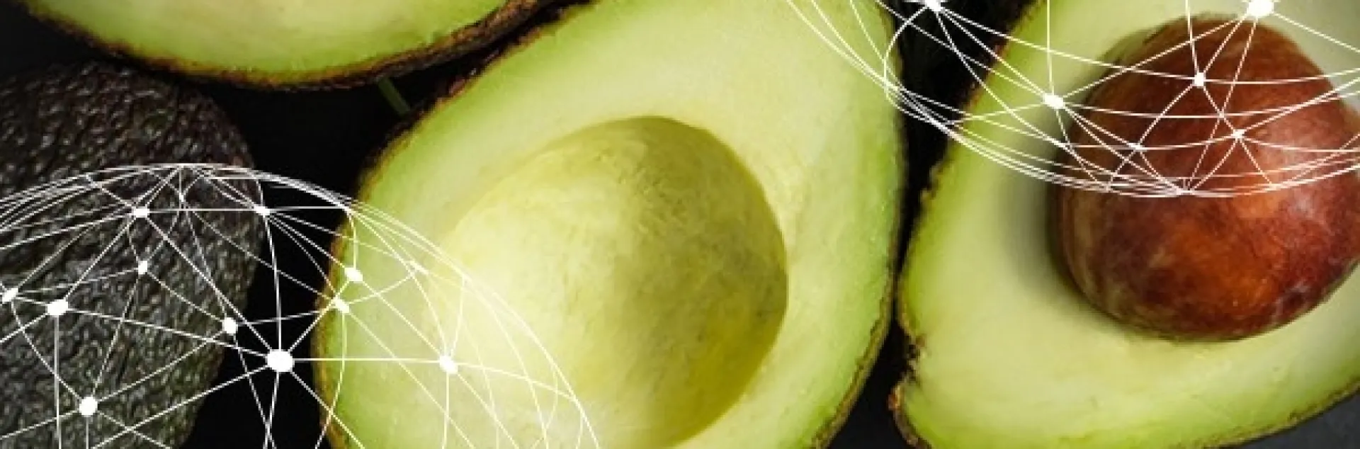 Global Avo Market