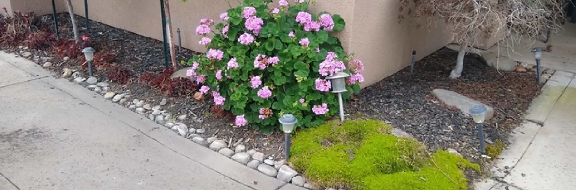 Some plants look great, others not so much