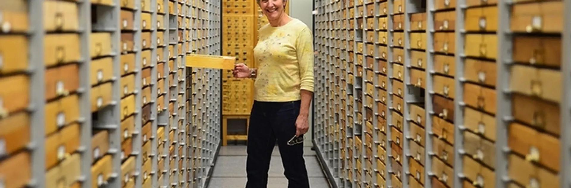 Professor Lynn Kimsey, director of the Bohart Museum of Entomology, gives a pre-Picnic Day virtual tour of the insect museum. (Photo by Kathy Keatley Garvey)