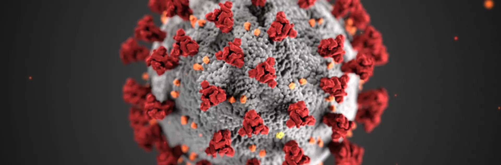 This is the virus that causes COVID-19. A UC Davis-based public awareness webinar on COVID-19 will take place at 1:30 p.m., Thursday, April 23 on YouTube.