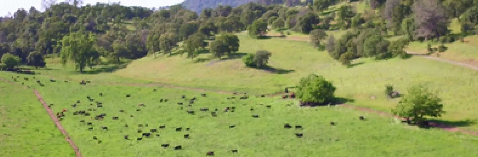 Embedded drone video