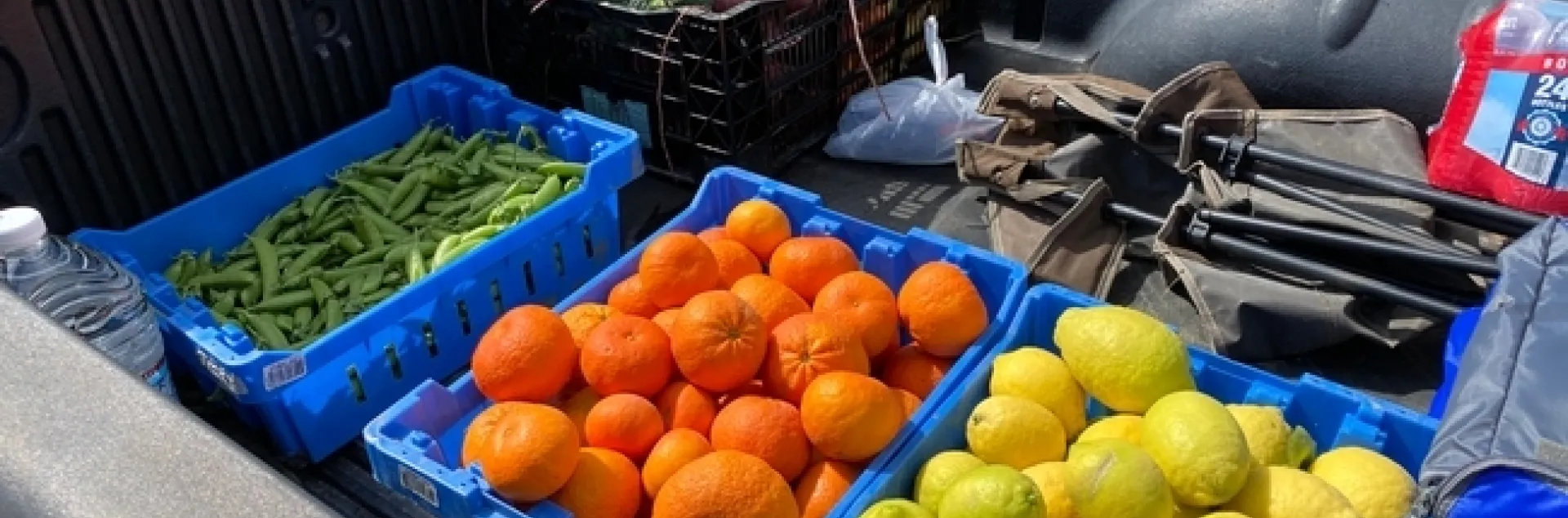 Fresh produce harvested at Hansen REC in Santa Paula was donated to Food Forward and Ventura County schools.