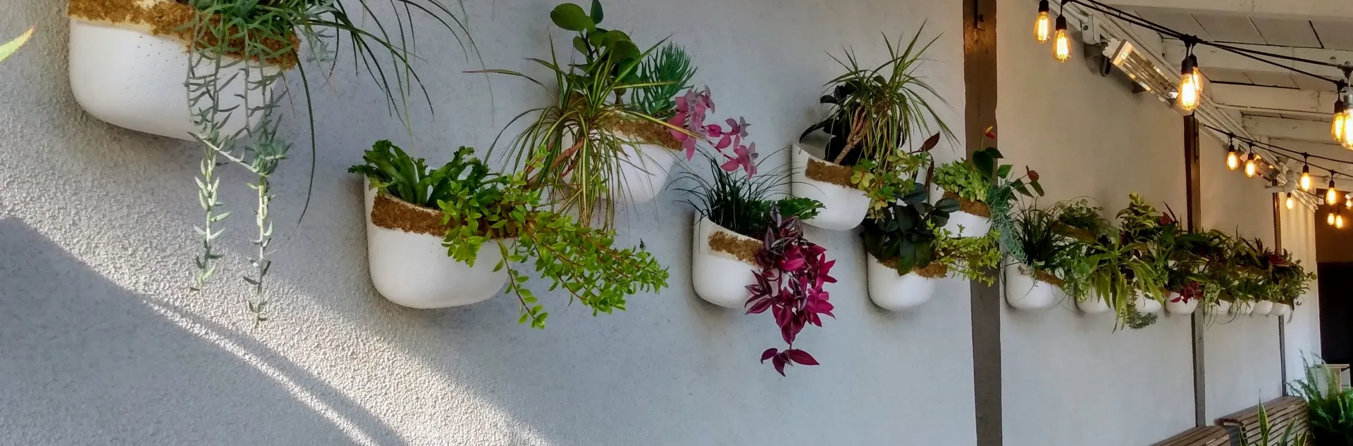 A wall with white planters filled with various green plants, overhead string lights illuminate the area, and a long wooden bench is below
