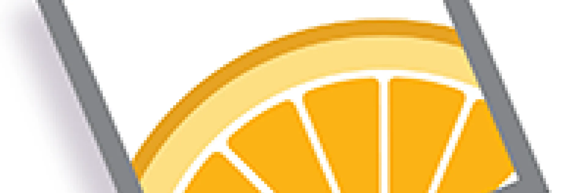 Research Snapshot logo