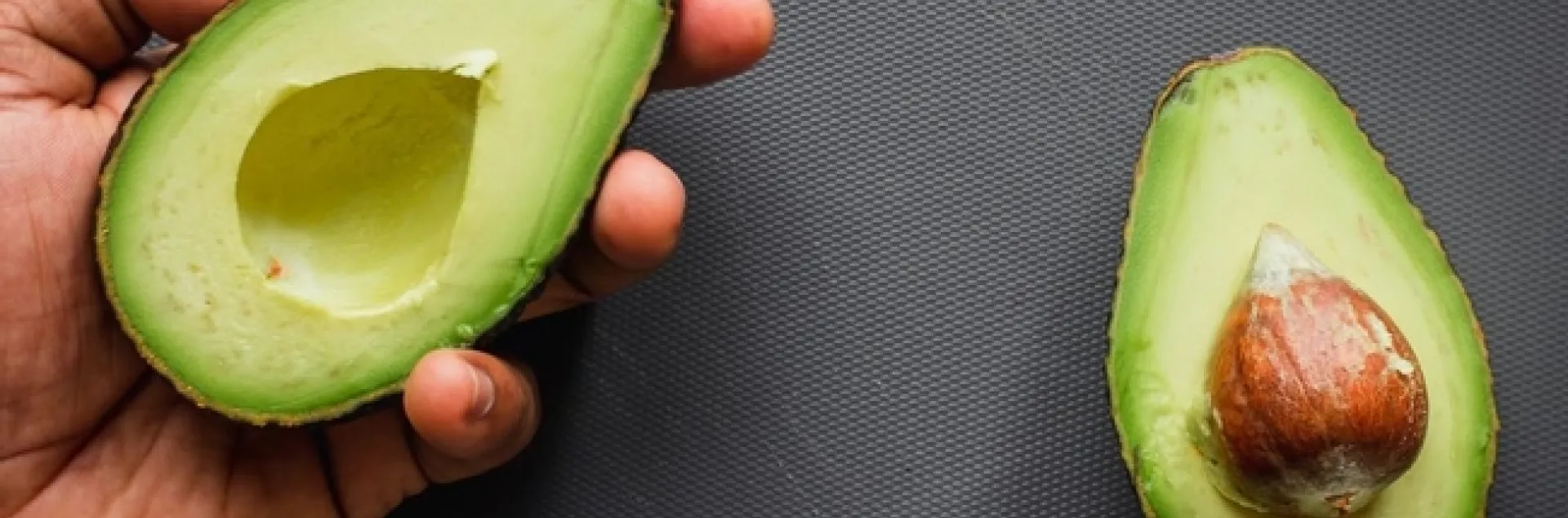 avocado in the hand