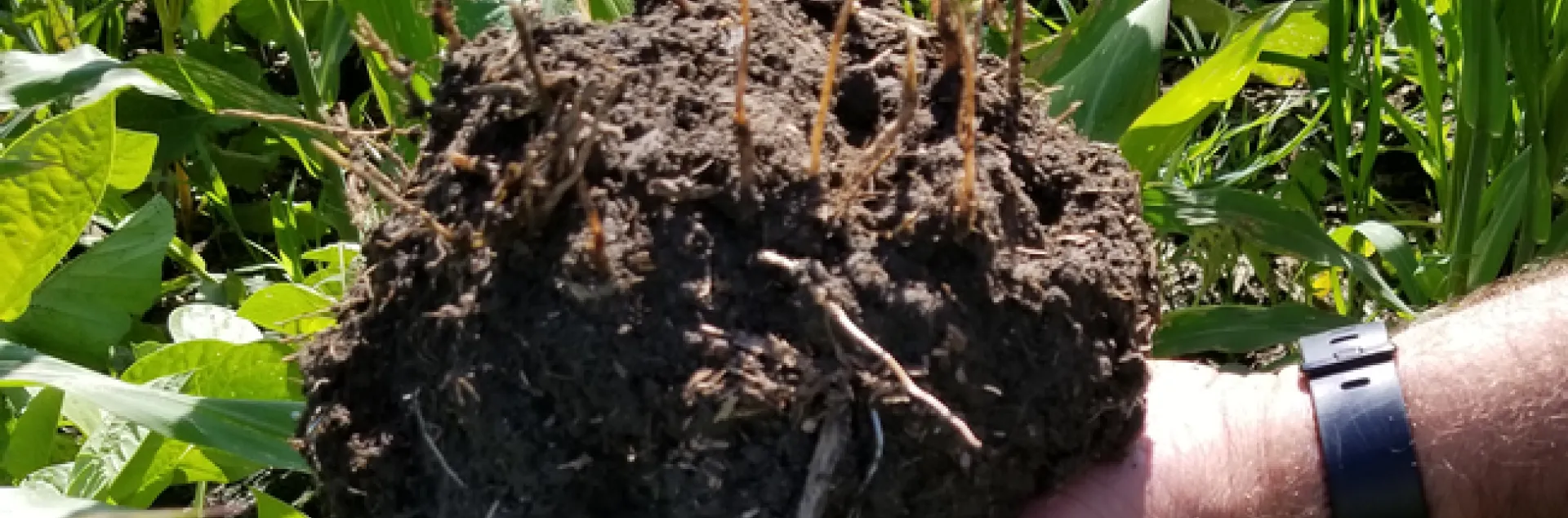 Frank Fernandes and soil structure. Photo by Shulamit Shroder.
