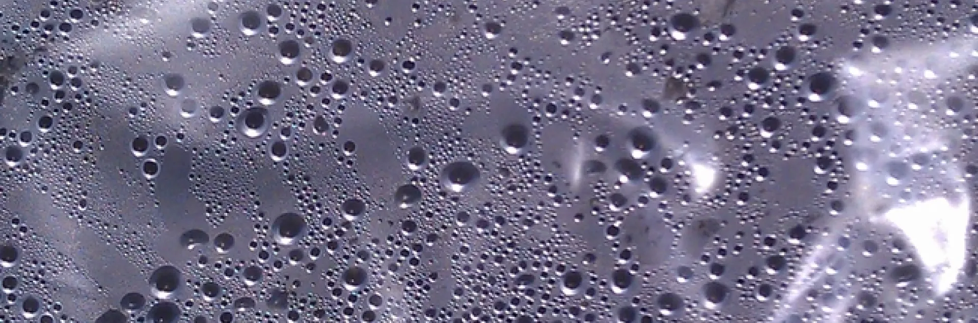 Condensation under the plastic, J. Alosi