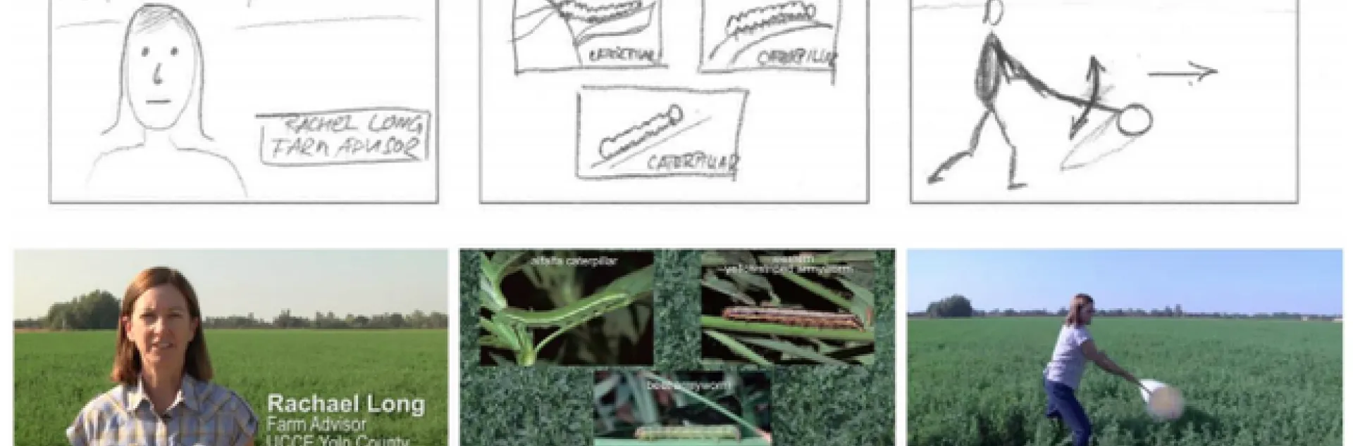 Good videos start with good planning – and good planning involves a good storyboard.