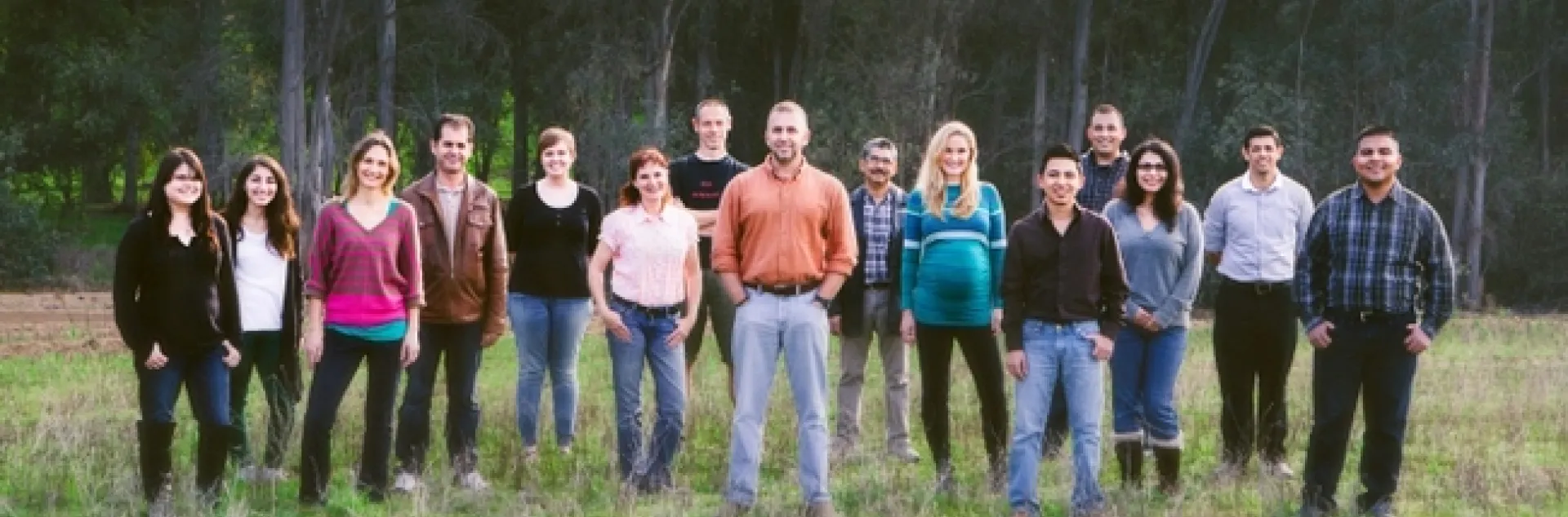 mark hoddle and team