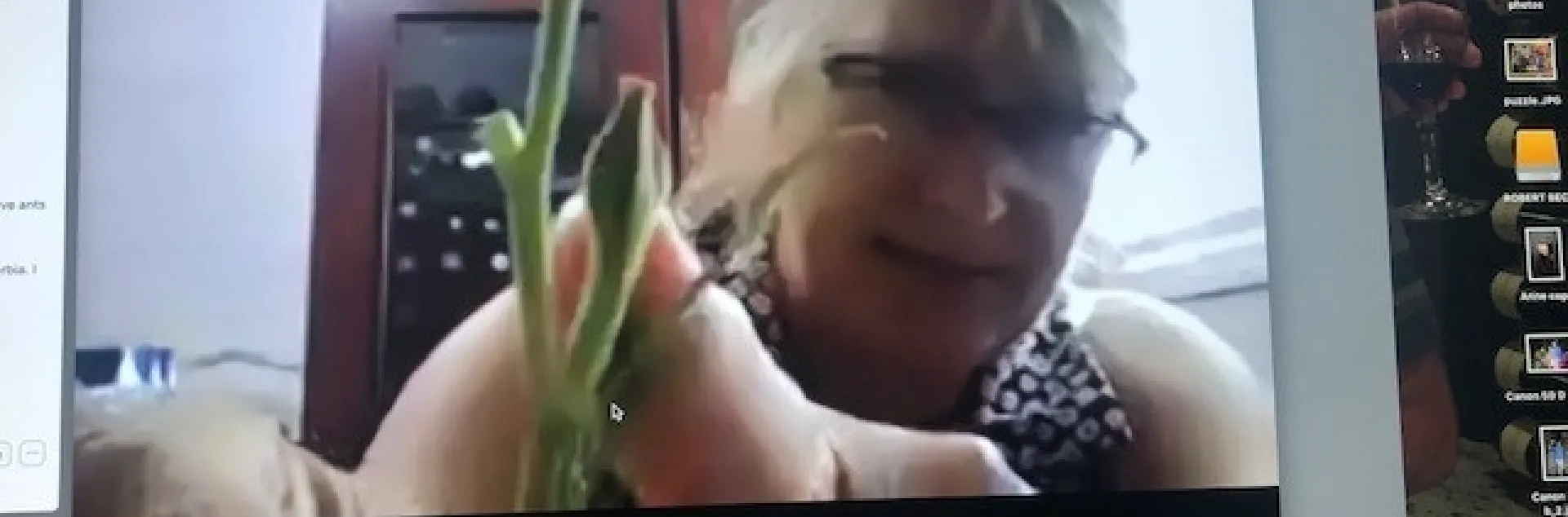UC Master Gardener volunteer of San Diego County, Kriss Blumeyer, hosting a flower lab Zoom training. Photo: Scott Parker