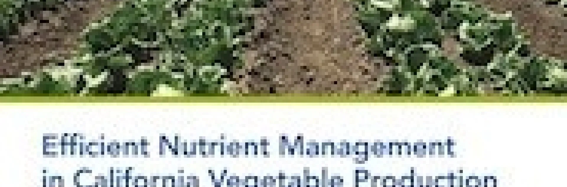 Tim Hartz New Publication