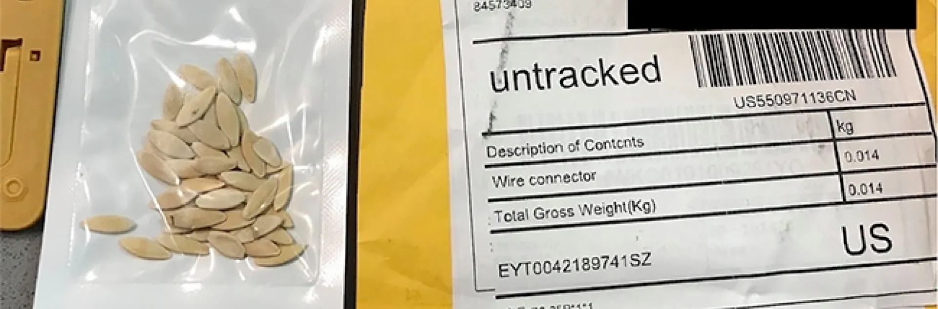 Unrequested package of seeds in a plastic bag next to the mailing envelope the seeds were delivered in. Credit: Anonymous