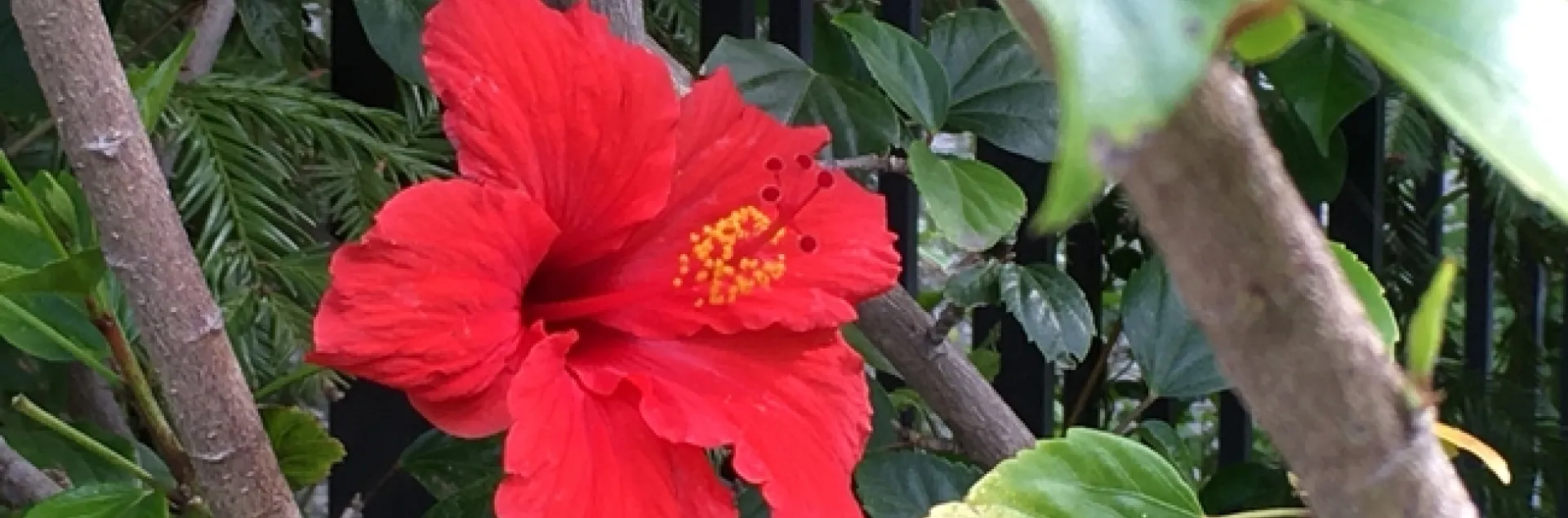 photo by Michelle Davis