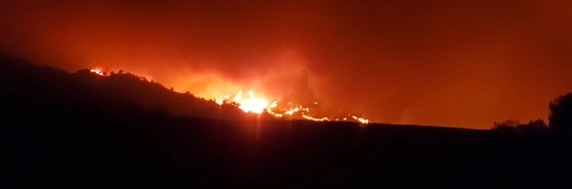 A wall of fire races toward Quail Canyon Road, home of Caroline Yelle's business, Pope Canyon Queens.
