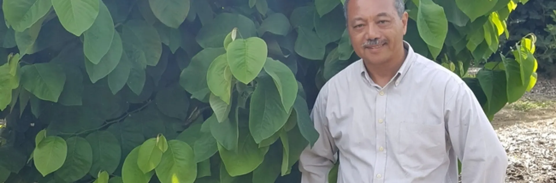 Ray Lucas stands beside a tall avocado tree.