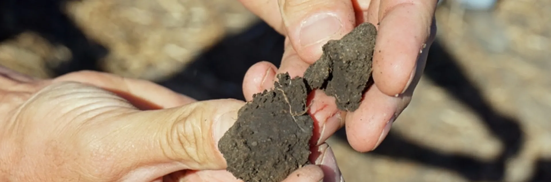 CDFA will provide funding for six UC Cooperative Extension projects that will demonstrate soil health practices on California farms and ranches.