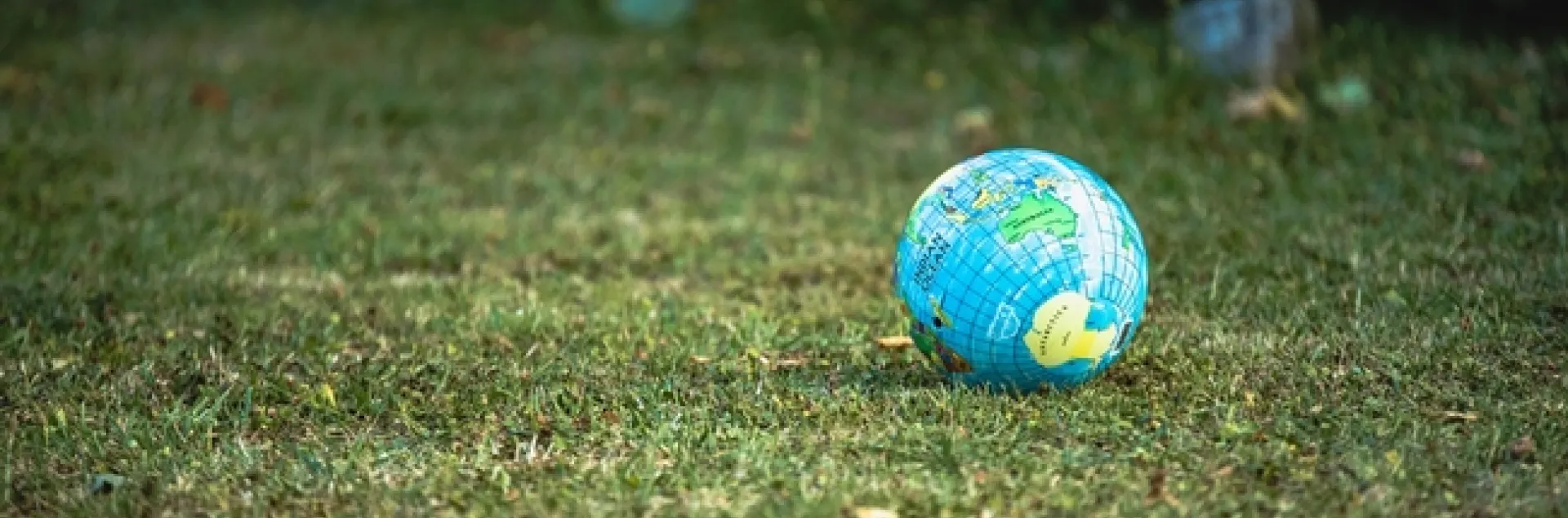 Picture of a globe of the world on a field of grass.