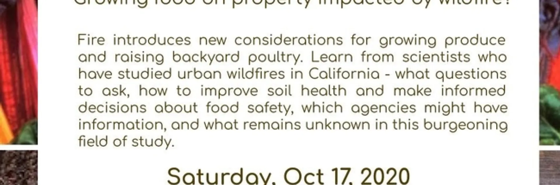 post fire soil safety