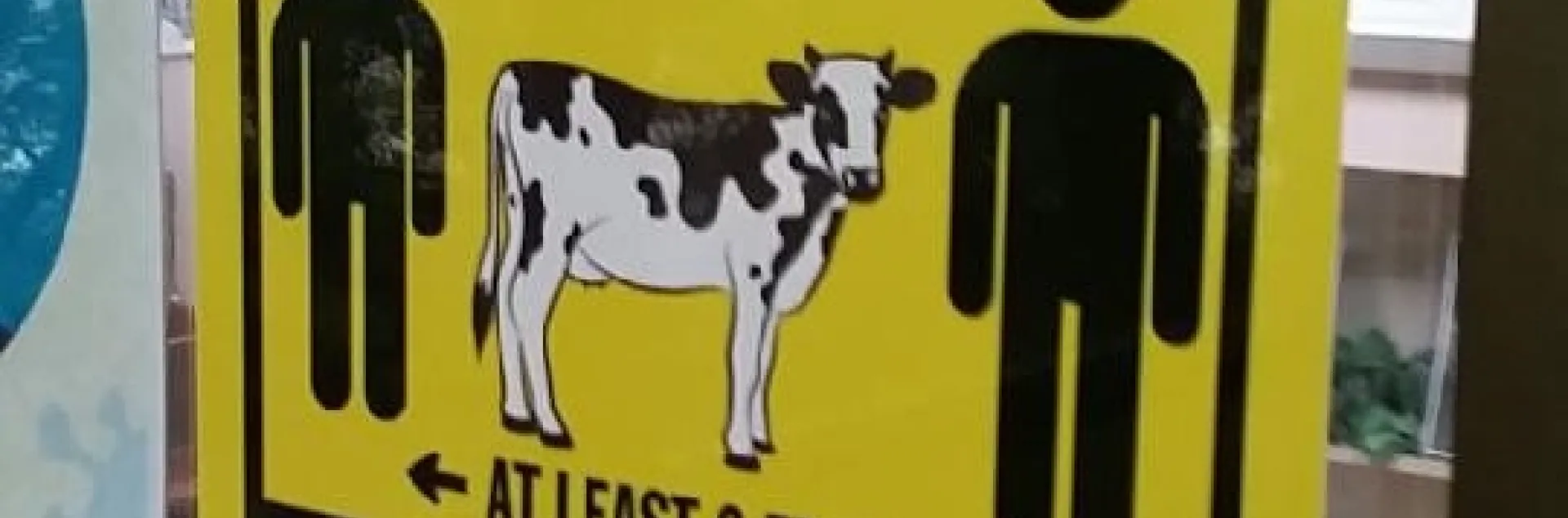 UCCE Tulare shows off its humor while acknowledging the local dairy industry