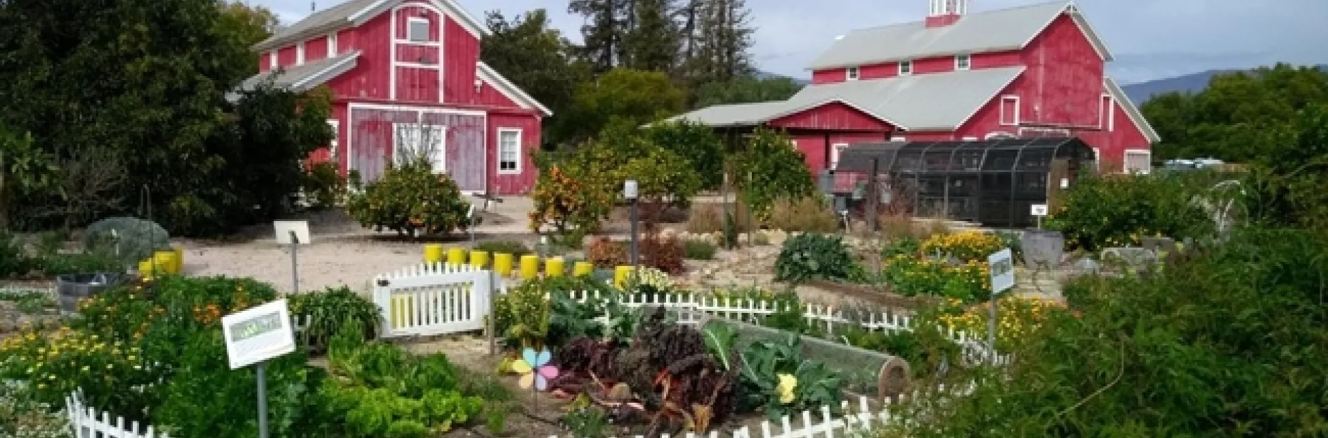 Behind the barns, UC Master Gardener volunteers maintain a demonstration garden where they hold workshops for home gardeners and students.