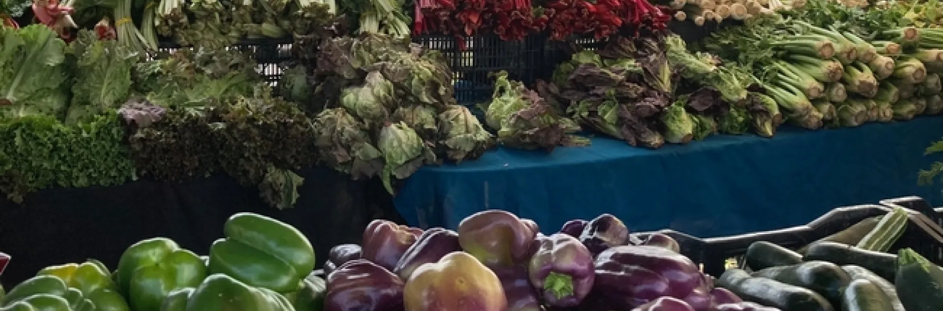 Webinar on Increasing Resiliency of Farmers' Markets and Equitable Access to Fresh, Local Produce will be presented Oct. 13.