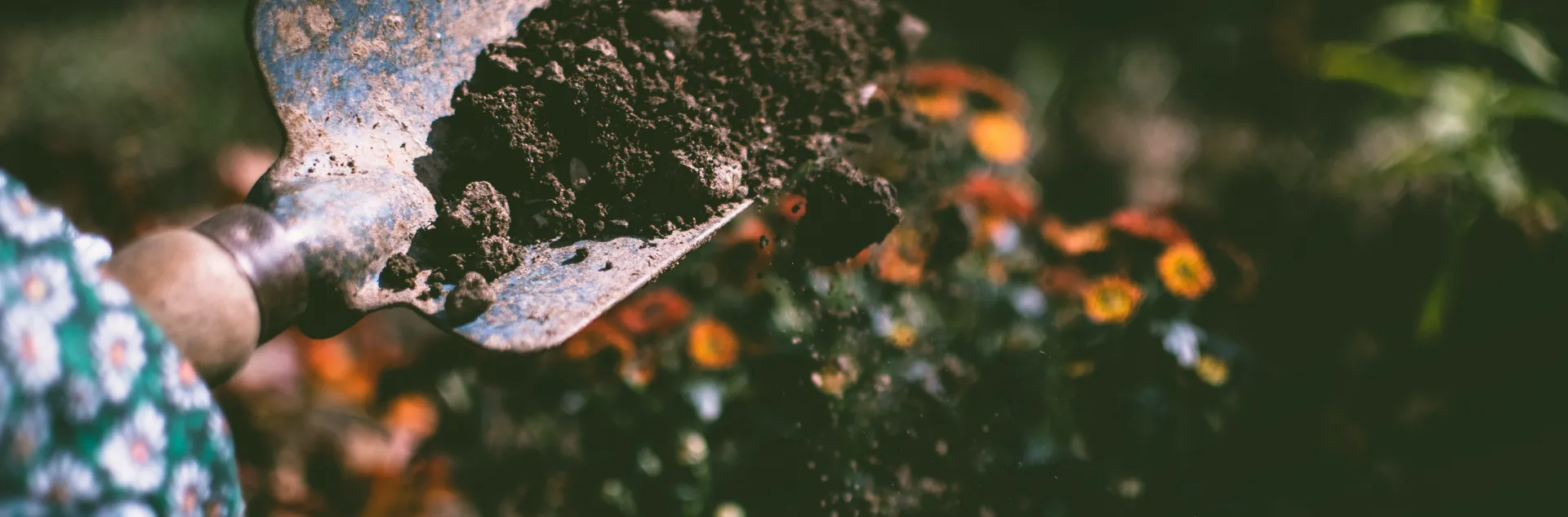 HAND compost pexels-lisa-fotios-1301856